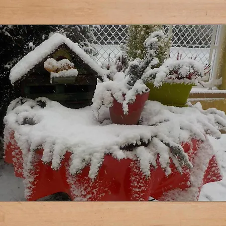 Les Hortensias * サント・マリー・オー・ミーヌ