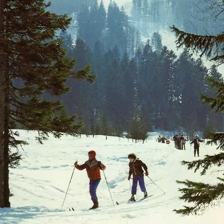 Les Hortensias アパート サント・マリー・オー・ミーヌ