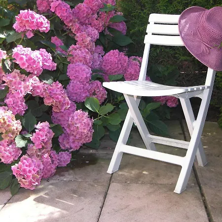 アパート Les Hortensias サント・マリー・オー・ミーヌ